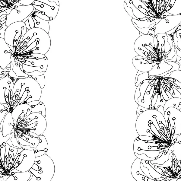 Plum Blossom Virág Külső Szegély Elszigetelt Fehér Background Vektoros Illusztráció — Stock Vector