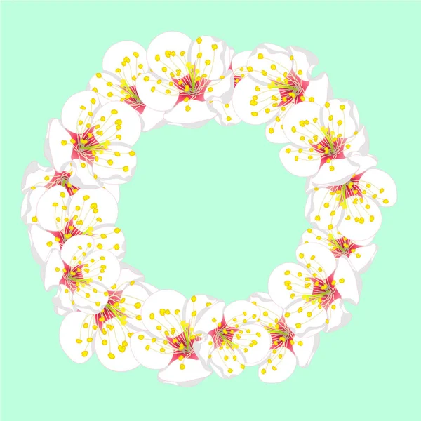 Beyaz Erik Çiçeği Çiçek Çelenk Yeşil Nane Arka Plan Üzerinde — Stok Vektör