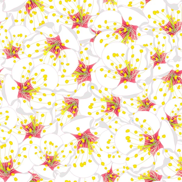 Witte Plum Blossom Flower Naadloze Achtergrond Vectorillustratie — Stockvector