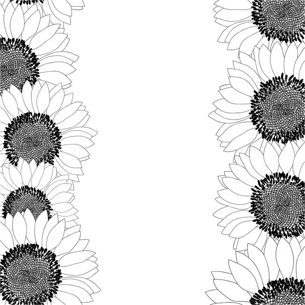 Sunflower Border Outline Isolated White Background Vector Illustration — Stock Vector