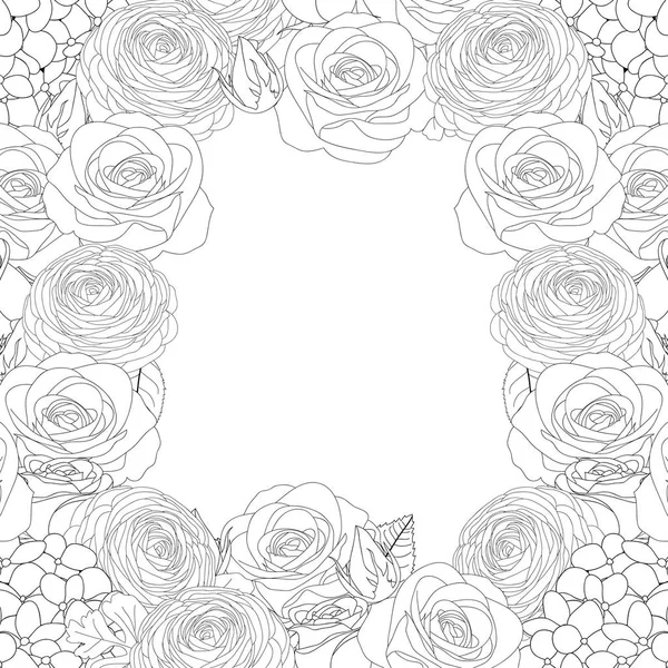 Rose Ortensia Ranunculus Outline Border Isolato Sfondo Bianco Illustrazione Vettoriale — Vettoriale Stock