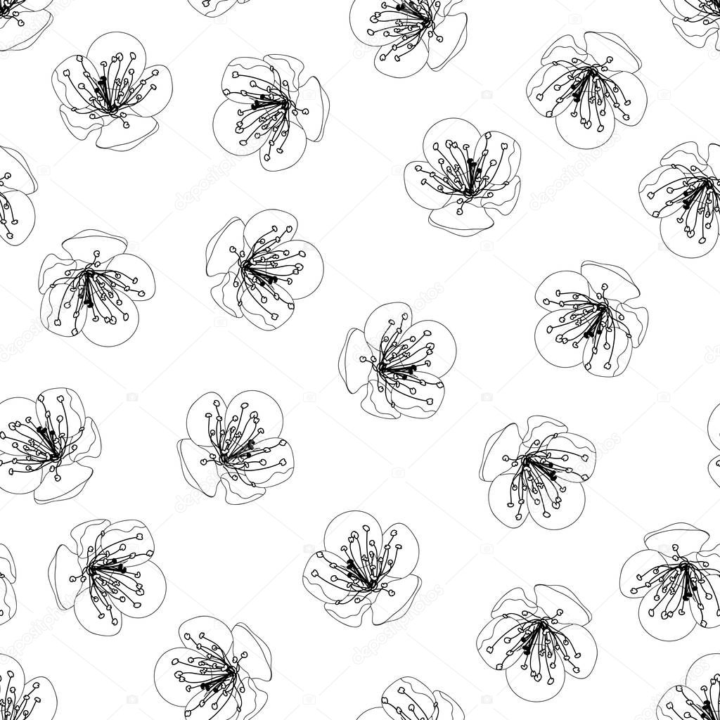 Plum Blossom Flower Outline Seamless on White Background. Vector Illustration.