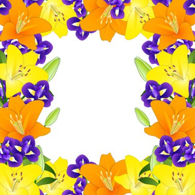 Sarı, beyaz arka plan üzerinde sınır turuncu Lily ve mavi Iris çiçeği. Vektör çizim.