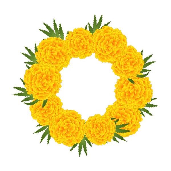 Fleur Souci Couronnes Tagetes Isolées Sur Fond Blanc Illustration Vectorielle — Image vectorielle