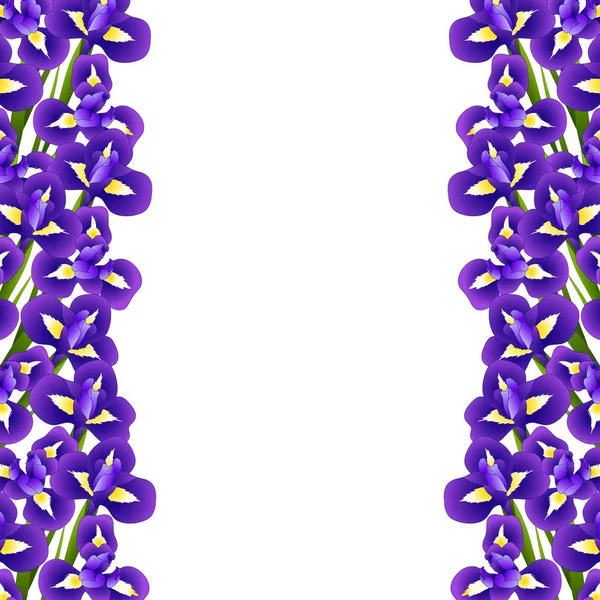 Iris Blume Rand Auf Weißem Hintergrund Vektorillustration — Stockvektor