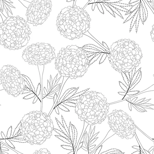 Marigold Outline Sur Fond Blanc Illustration Vectorielle — Image vectorielle