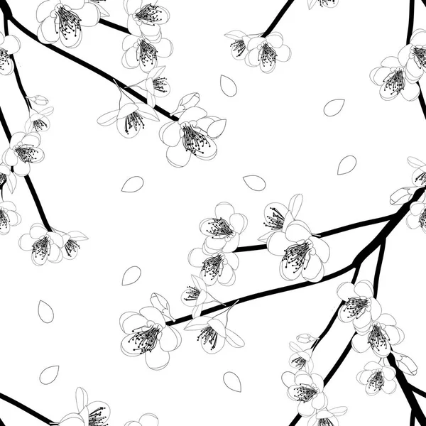 モモの概要 白背景に桃花の花 ベクトル図 — ストックベクタ