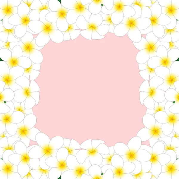 White Plumeria Border Frangipani Isolated Pink Background Vector Illustration — Stock Vector