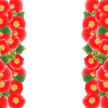 Kırmızı Alcea Rosea sınır - hollyhocks, ebegümeci aile Ebegümecigiller AOI. Beyaz arka plan üzerinde izole. Vektör çizim.