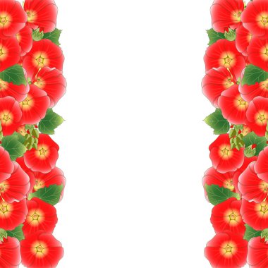Red Alcea Rosea Border - hollyhocks, Aoi in the mallow family Malvaceae. isolated on White Background. Vector Illustration. clipart