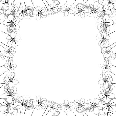 Cassia Fistül - kopya alanı beyaz zemin üzerine altın duş çiçek sınır. Vektör çizim.