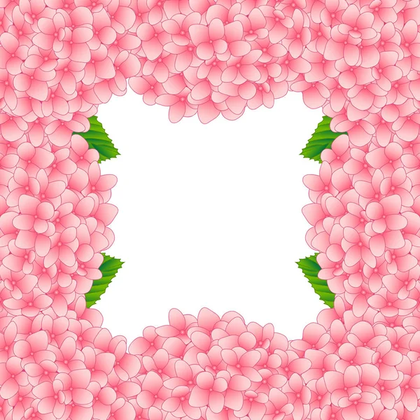 Pink Hydrangea Flower Border isolated on White Background. Vector Illustration.