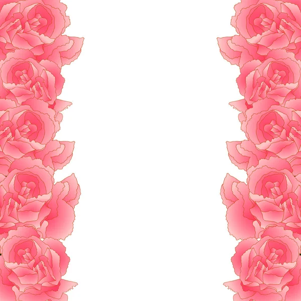Рожевий Гвоздики Квіткова Облямівка Гвоздика Caryophyllus Рожевий Гвоздики Національна Квітка — стоковий вектор