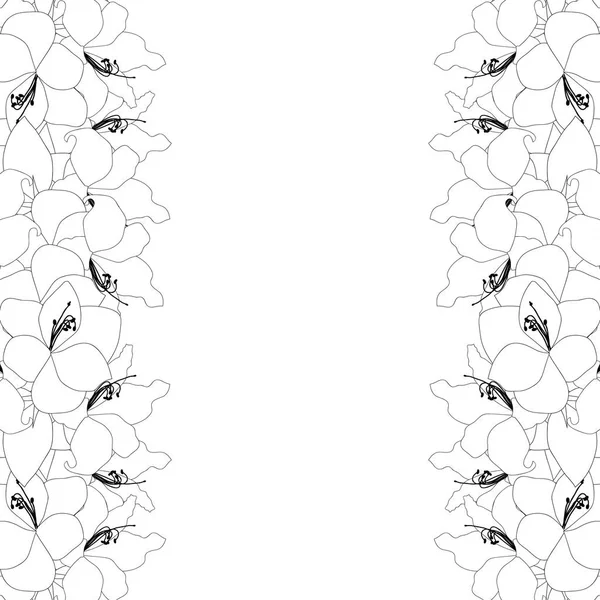 Amaryllis Umreißt Grenze Hippeastrum Weihnachtsblume Vektorillustration Isoliert Auf Weißem Hintergrund — Stockvektor