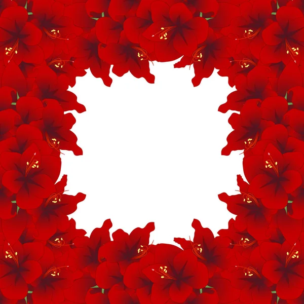 Frontera Amarilis Roja Hippeastrum Flor Navidad Ilustración Vectorial Aislado Sobre — Vector de stock