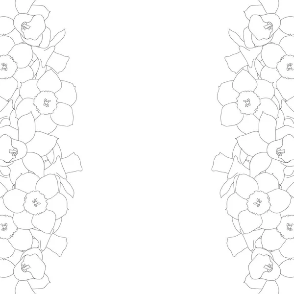 Narzisse Narziss Umrandung Auf Weißem Hintergrund Vektorillustration — Stockvektor