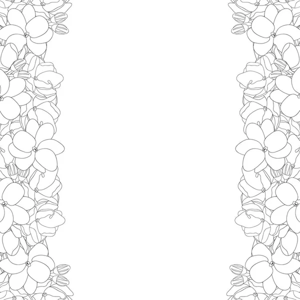 Jasminum Sambac Arabischer Jasminumriss Auf Weißem Hintergrund Vektorillustration — Stockvektor