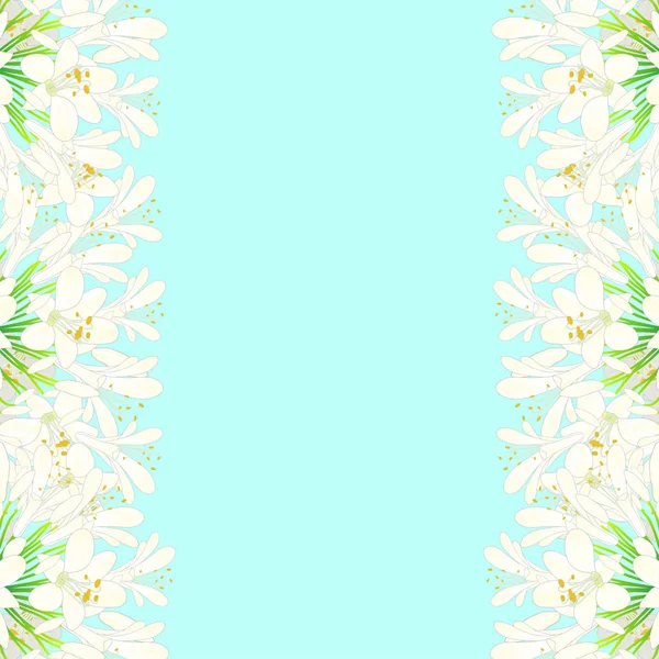 Schneeweißer Agapanthus Rand Nillilie Afrikanische Lilie Auf Blauem Minzgrund Vektorillustration — Stockvektor