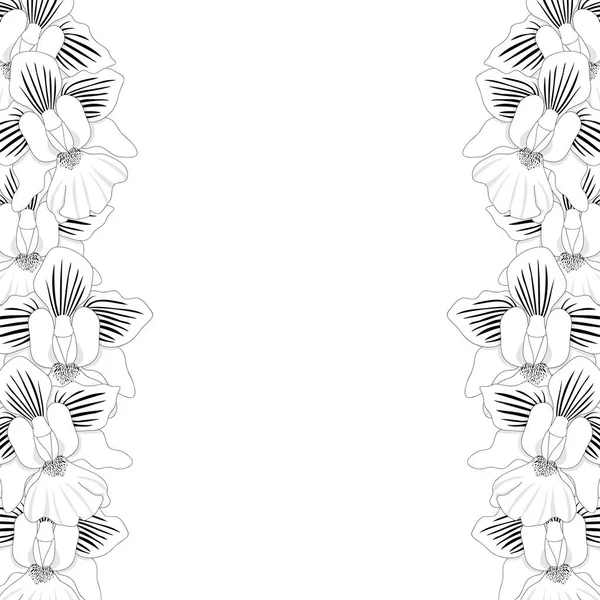 Vanda Miss Joaquim Orchidée Contour Frontière Isolé Sur Fond Blanc — Image vectorielle