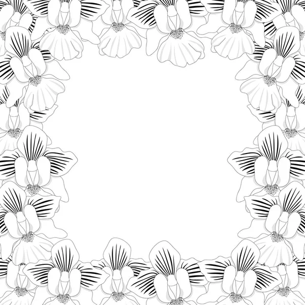 Ванда Мисс Жоаким Орхидея Граница Изолирована Белом Фоне Векторная Иллюстрация — стоковый вектор