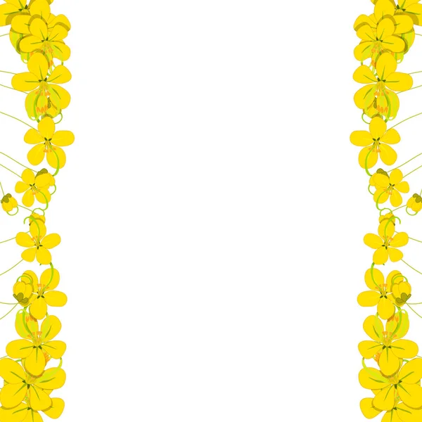 Fistule Cassia Jaune Douche Dorée Bordure Fleur Sur Fond Blanc — Image vectorielle