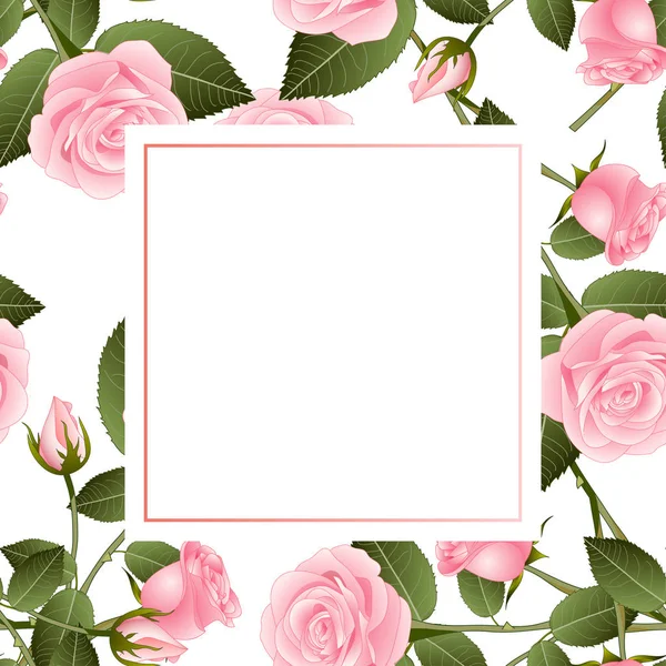 Güzel pembe gül - Rosa Banner kartı Sevgililer günü. Vektör çizim.
