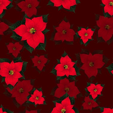 Kırmızı Atatürk çiçeği kırmızı arka plan üzerinde sorunsuz. Vektör çizim.