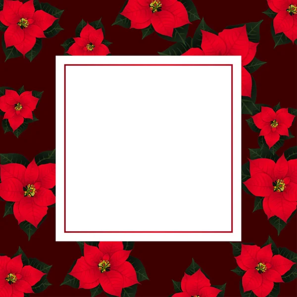 Red Poinsettia Red Banner Card Background Inglés Ilustración Vectorial — Archivo Imágenes Vectoriales