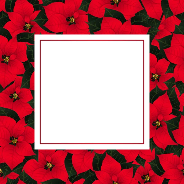 Red Poinsettia Red Banner Card Background Inglés Ilustración Vectorial — Archivo Imágenes Vectoriales