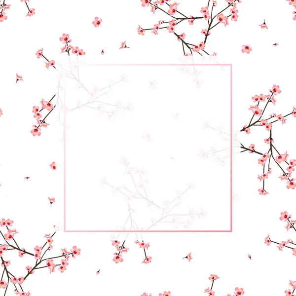 Momo Peach Flower Banner Witte Achtergrond Vector Illustratie — Stockvector