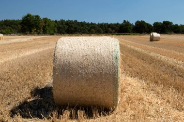 aşırı yakın çekim yuvarlak balya mowed alan ahşap ve mavi gökyüzü ile geniş-açı mercek ile fotoğrafı arka plan olarak