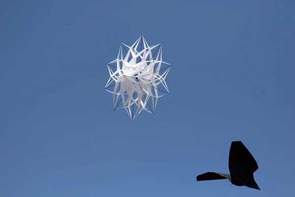 Uma Flor Estrela Branca Uma Pipa Dragão Preto Festival Pipa — Fotografia de Stock