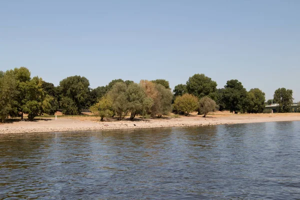 Ren Nehri kıyısındaki Köln Almanya geniş açı lens ile bir gezi tekne turu sırasında fotoğraflandı, ağaçlarla doğal peyzaj görünümünü geniş açı