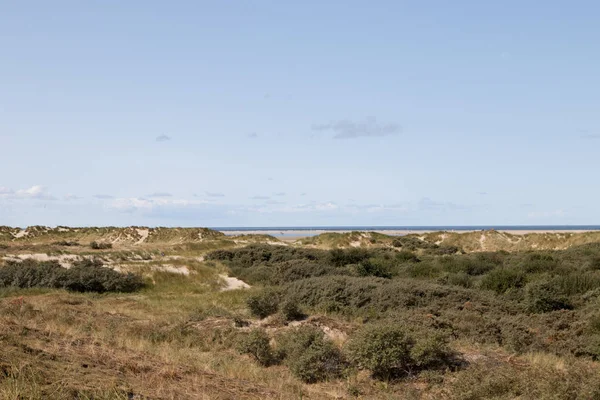 北の海の島ボルクムと広角レンズ北海島ボルクムのドイツでの観光ツアー中に撮影した砂丘の植生上の表示します — ストック写真