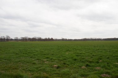 doğal bir otlak ve Almanya batısında Kuzey geniş açı lens ile doğada yürüyüş sırasında fotoğraflandı bulutlu gökyüzü görüntüleyin