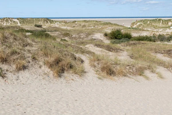 広角レンズと北の海の島ボルクムの観光ツアー中に撮影したドイツの北海島ボルクムの砂丘の植物および草の表示します — ストック写真