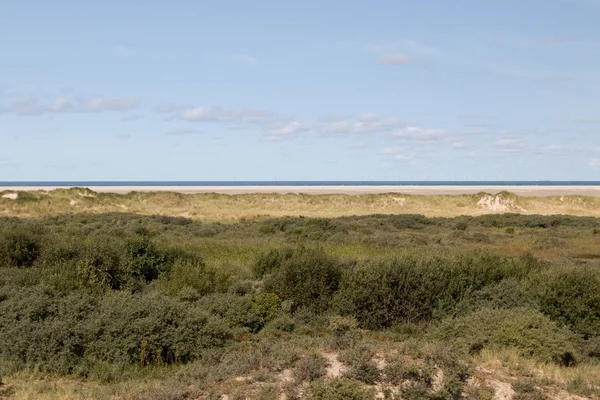 植生と広角レンズで北の海の島ボルクムの観光ツアー中に撮影した地平線の青い空と海岸に広角ビュー — ストック写真