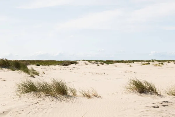 白い砂と広角レンズで北の海の島ボルクムの観光ツアー中に撮影したドイツの北海島ボルクムで青空を見る — ストック写真