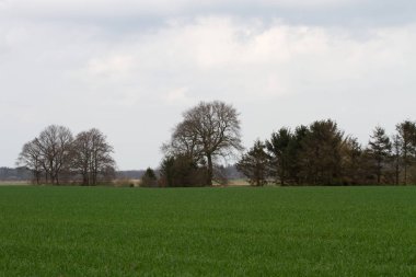 Almanya batısında Kuzey geniş açı lens ile doğada yürüyüş sırasında fotoğraflandı bulutlu bir gökyüzü ile bir otlak ve ağaçlar görüntüleme