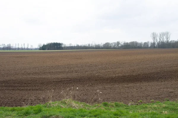 Vue Large Sur Terrain Cultivé Avec Des Arbres Horizon Photographiés — Photo