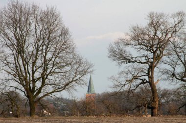 şehir papenburg almanya çevresinde ağaçlarla çevrili bir kilisenin bir çan kulesi üzerinde görünümü ve geniş açılı lens ile Papenburg Almanya'da bir gezi turu sırasında fotoğraflandı