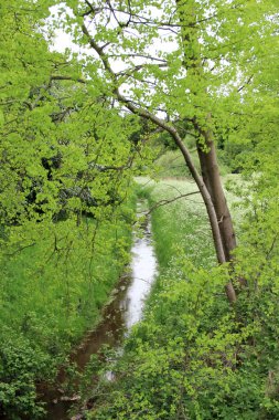 geniş açılı lens ile lathen Almanya'nın doğada ve çevresinde bir gezi yürüyüşü sırasında fotoğraflanan sonunda fotoğraflanan ağaçlar ve bitkilergizli kazmak bir görünüm