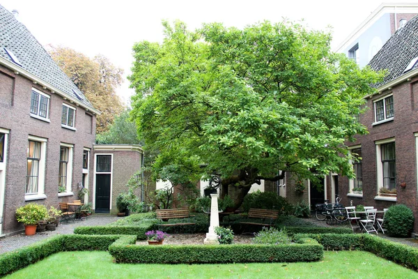 Vista Una Instalación Del Parque Rodeada Casas Leiden Holanda Del —  Fotos de Stock
