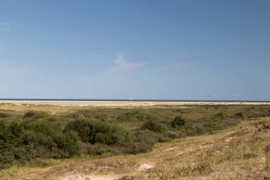 doğal bitki örtüsü ve bitkiler, yaz aylarında bir gezi tur sırasında Almanya fotoğraflandı Kuzey Denizi adası borkum mavi gökyüzünün altında görüntüleyin