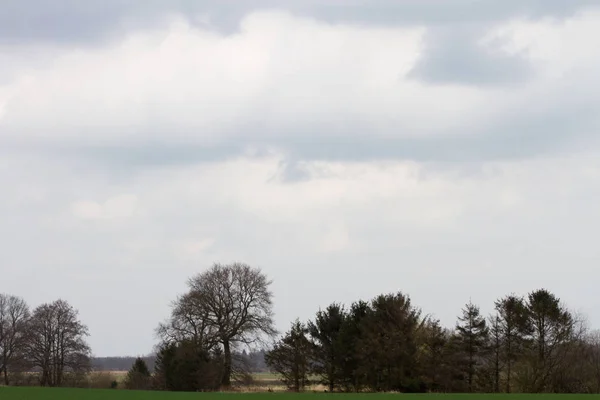 clouds over a tree area in rhede emsland germany photographed during a sightseeing tour in rhede emsland germany