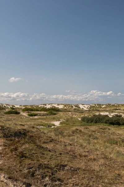 島ボルクム ドイツ撮影夏の観光ツアー中に白い雲と砂丘と北海でその植物の上の青い空 — ストック写真