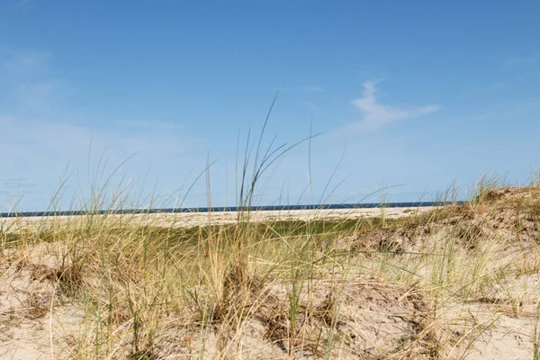 Kijk Een Gras Stijgen Blauwe Lucht Noord Zee Eiland Borkum — Stockfoto