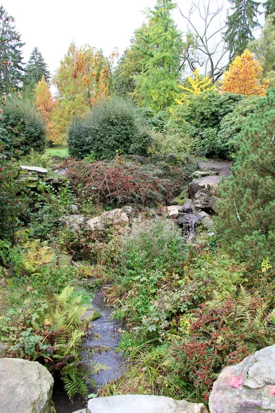 Vista Oasis Verde Parque Wiesbaden Hessen Alemania Fotografiado Durante Recorrido —  Fotos de Stock