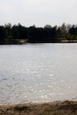 parlayan deniz ve ağaçlar niederlangen emsland Almanya doğada yürüyüş sırasında fotoğraflandı güneşli bir gün içinde ufuktan görüntüleyin
