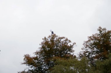 Helikopterle niederlangen emsland Almanya doğada yürüyüş sırasında fotoğraflandı güneşli bir gün içinde bir ağaç başına görüntülemek